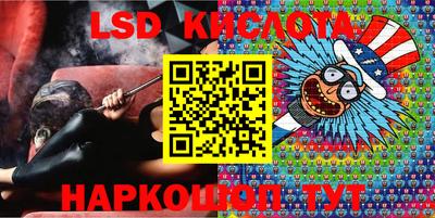 шишки Тверь