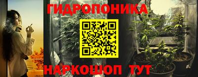 шишки Тверь