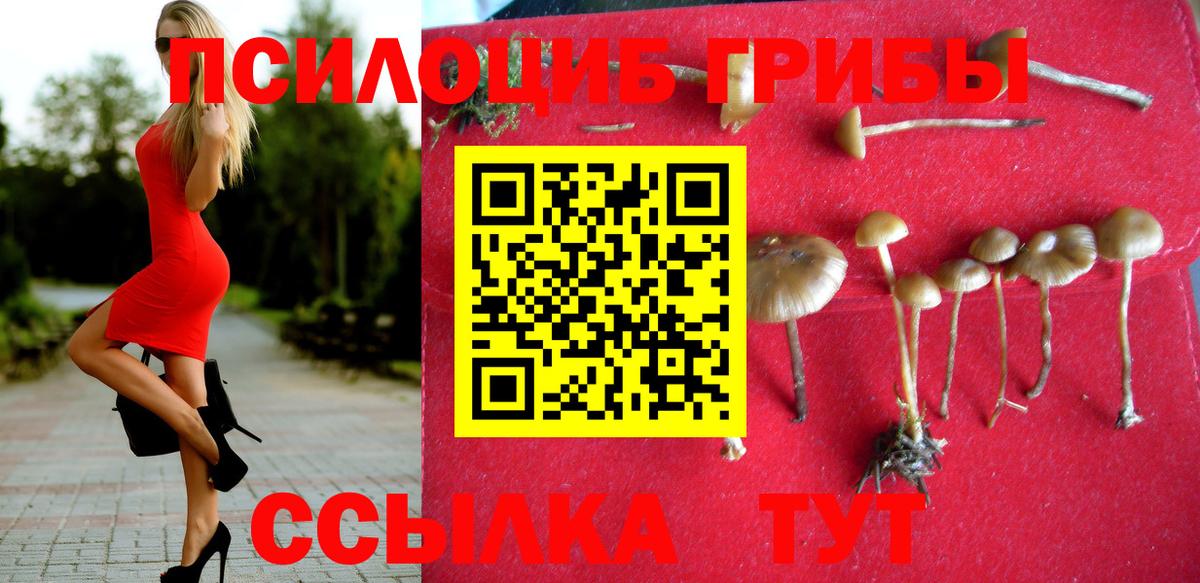 Псилоцибиновые грибы ЛСД  Вход с VPN  наркошоп  Реутов 